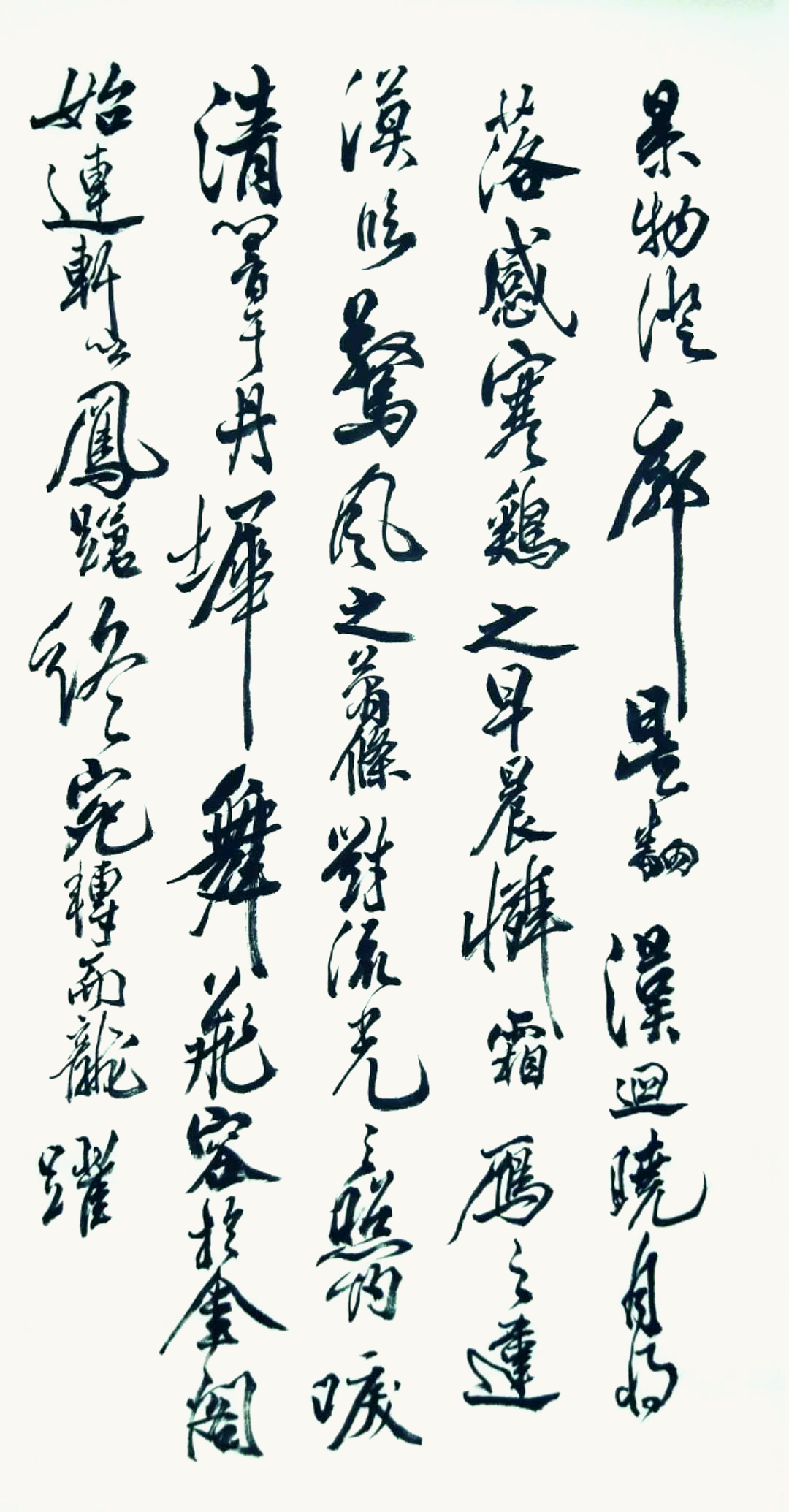 作品 5