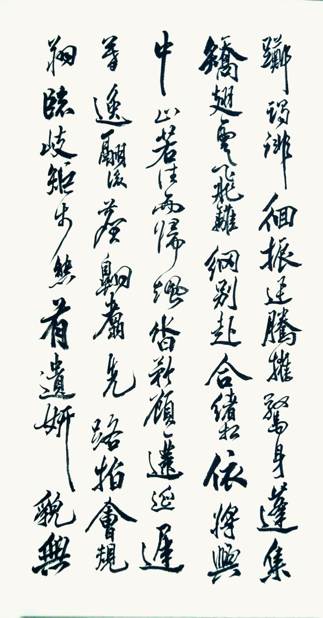作品 6