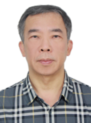 金涛